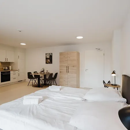 Innsight Appartementhaus - Mit Kuechen Fuer Lang Und Kurzzeitaufenthalte 3* Pasov